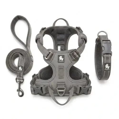 Ensemble complet d'accessoires pour chien Truelove de couleur grise, comprenant une laisse, un harnais anti-traction et un collier rembourré