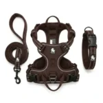 Ensemble complet d'accessoires pour chien Truelove de couleur marron, comprenant une laisse, un harnais anti-traction et un collier rembourré