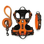 Ensemble complet d'accessoires pour chien Truelove de couleur orange, comprenant une laisse, un harnais anti-traction et un collier rembourré