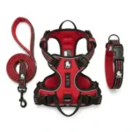 Ensemble complet d'accessoires pour chien Truelove de couleur rouge, comprenant une laisse, un harnais anti-traction et un collier rembourré
