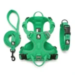 Ensemble complet d'accessoires pour chien Truelove de couleur verte, comprenant une laisse, un harnais anti-traction et un collier rembourré