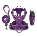Ensemble complet d'accessoires pour chien Truelove de couleur violette, comprenant une laisse, un harnais anti-traction et un collier rembourré.